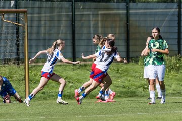 Bild 44 - wBJ Hamburger SV - VfL Wolfsburg : Ergebnis: 5:1